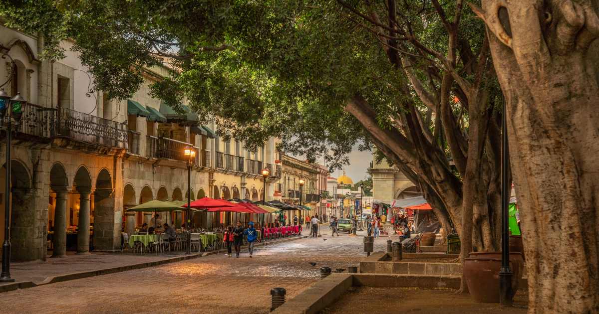 oaxaca city car rental